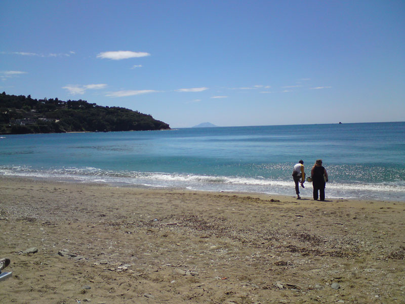 DSC00080