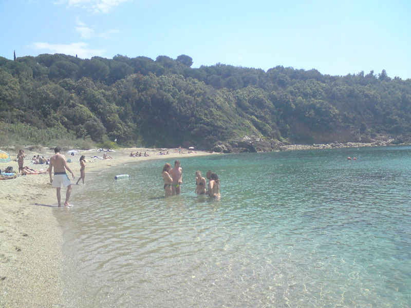 DSC00124