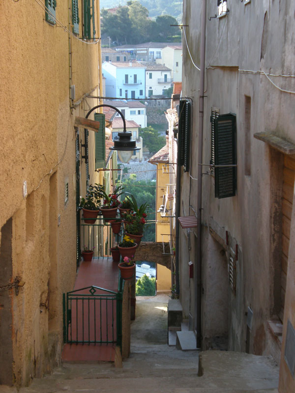P5040191