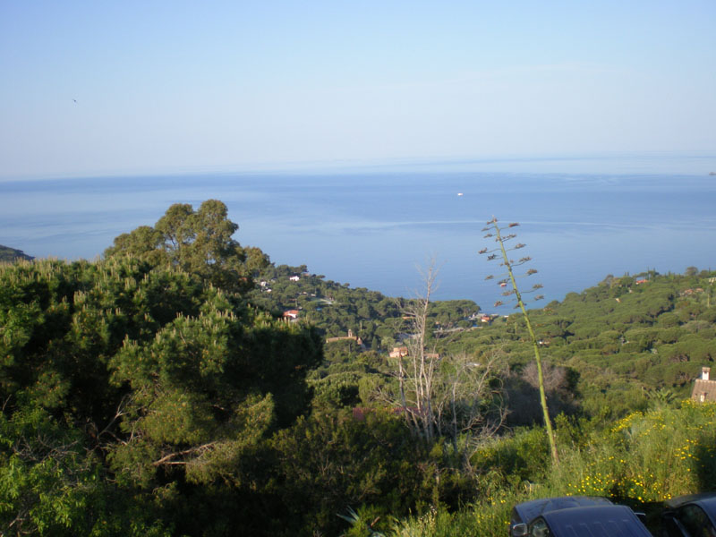 P5040194