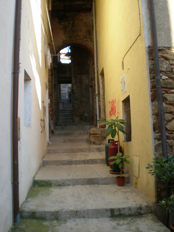 P5040196