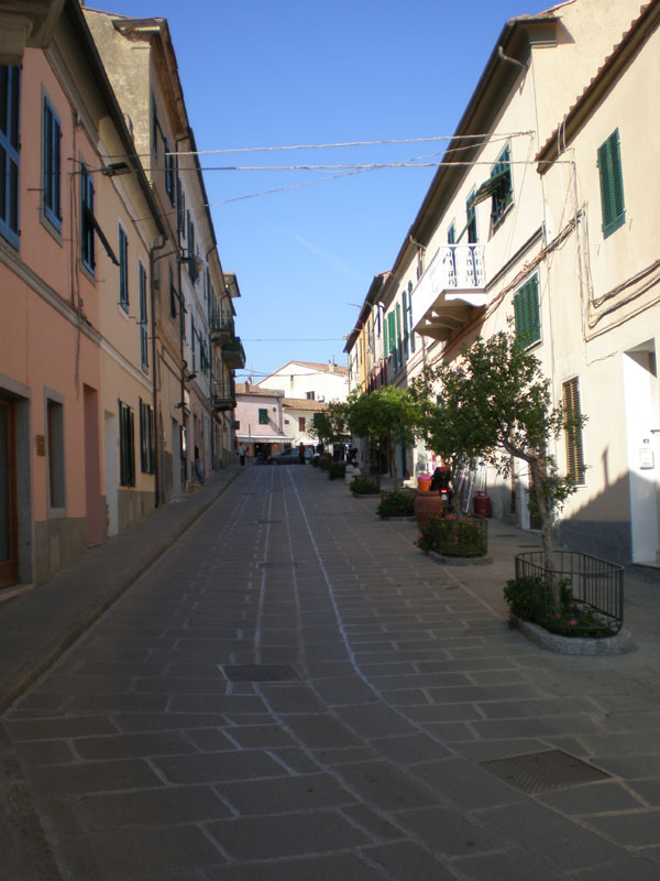 P5040202