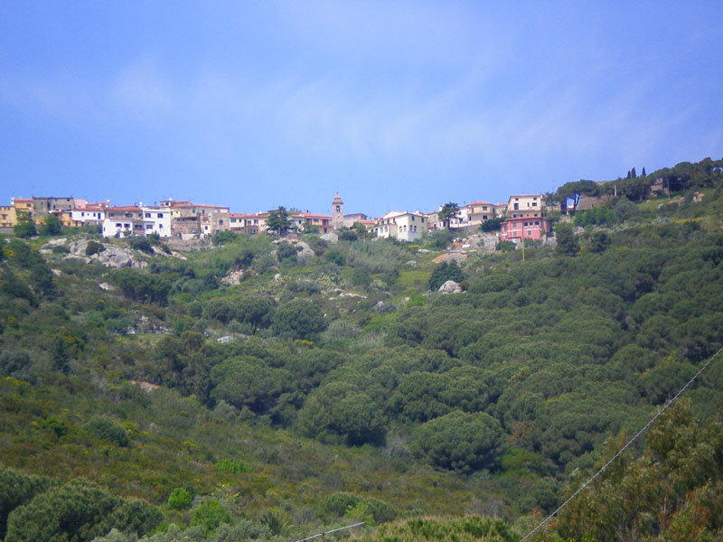 P5040205