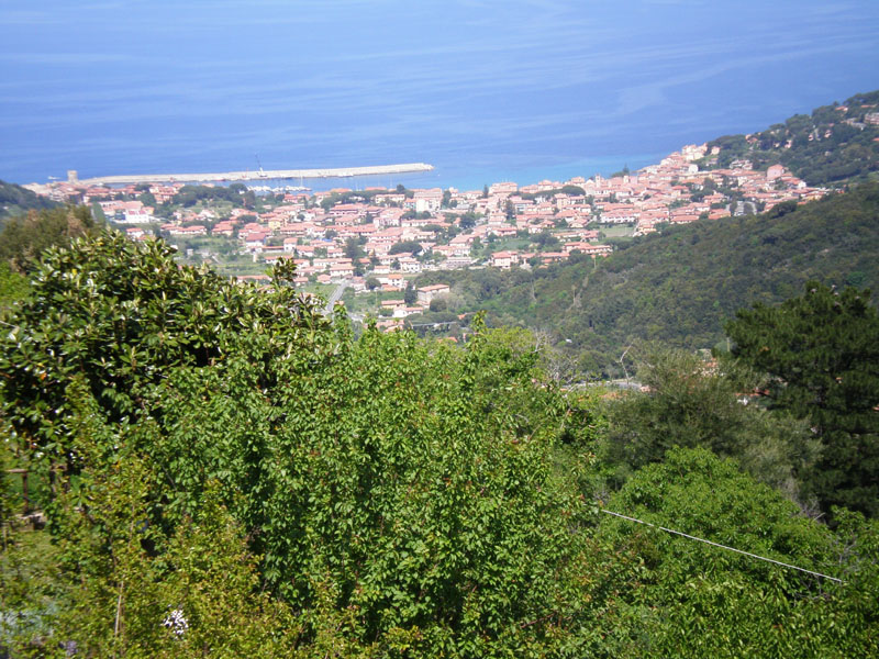 P5040221