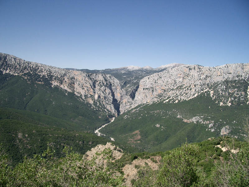 CIMG4684
