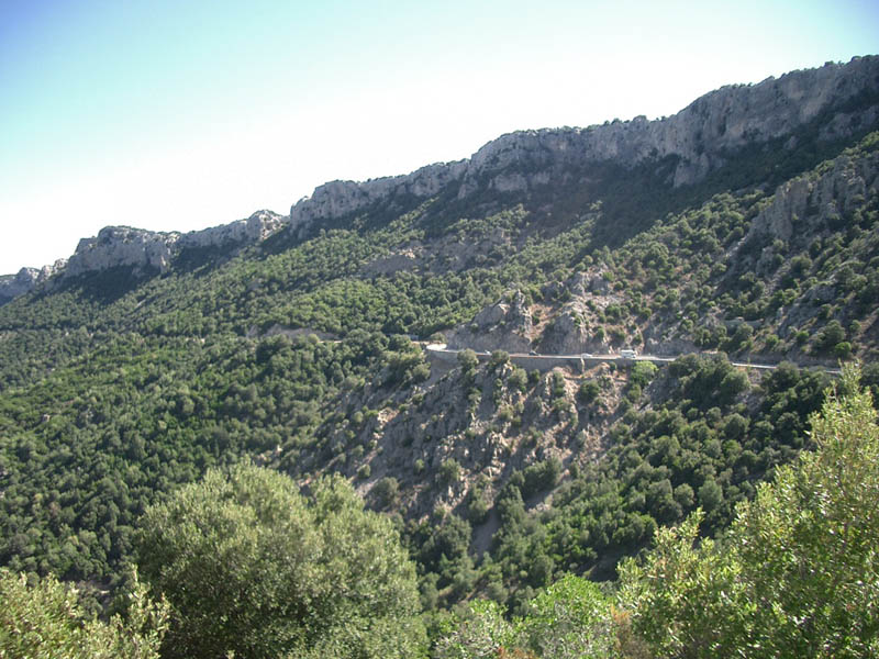 CIMG4687