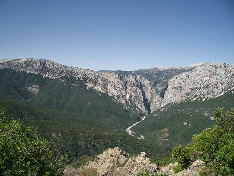 CIMG4690