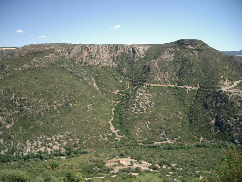 CIMG4794