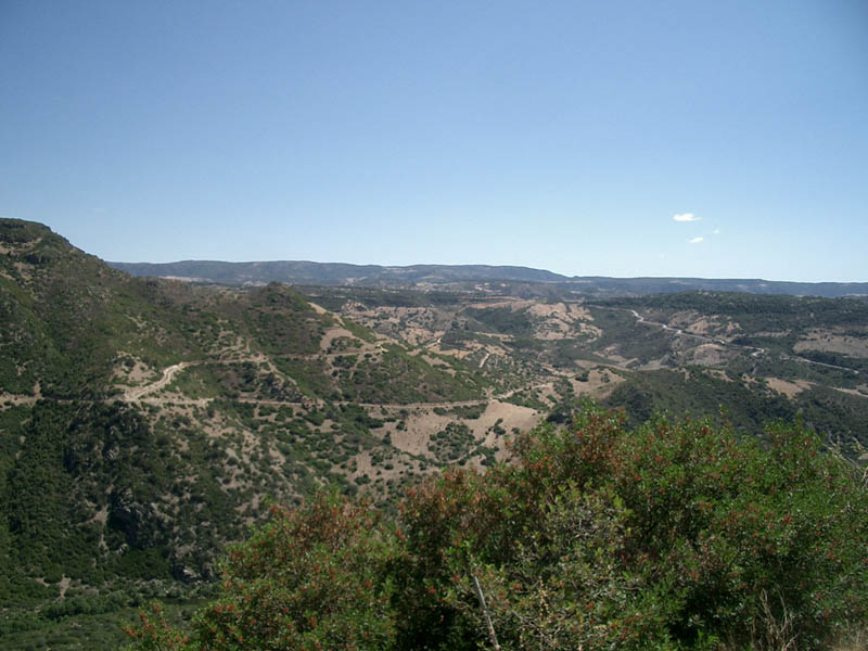 CIMG4795