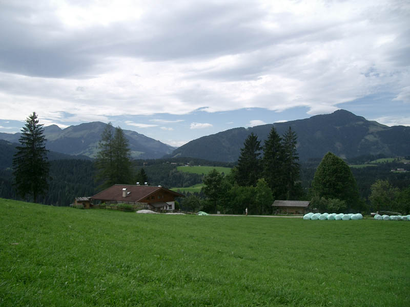 CIMG6251