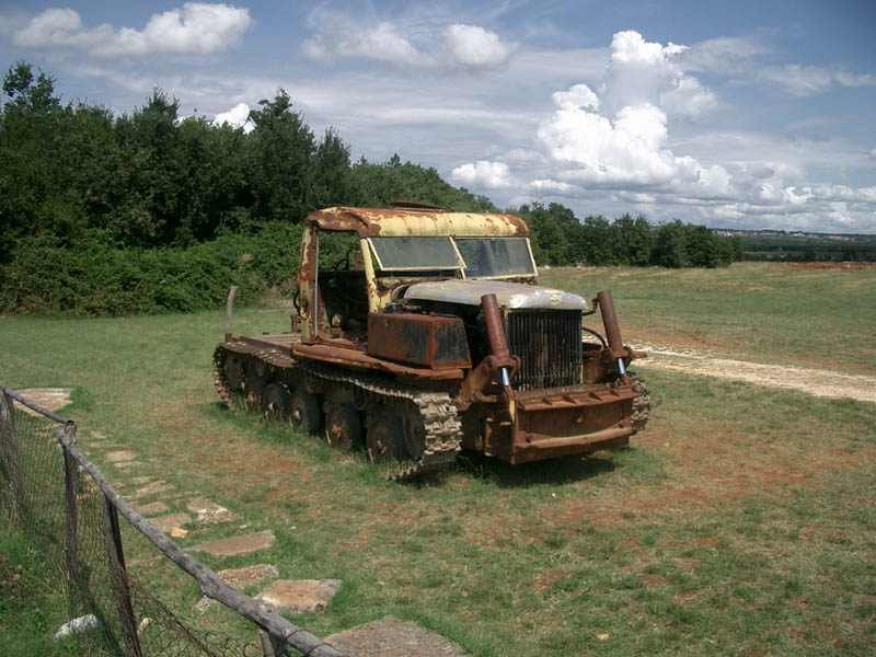 CIMG6304